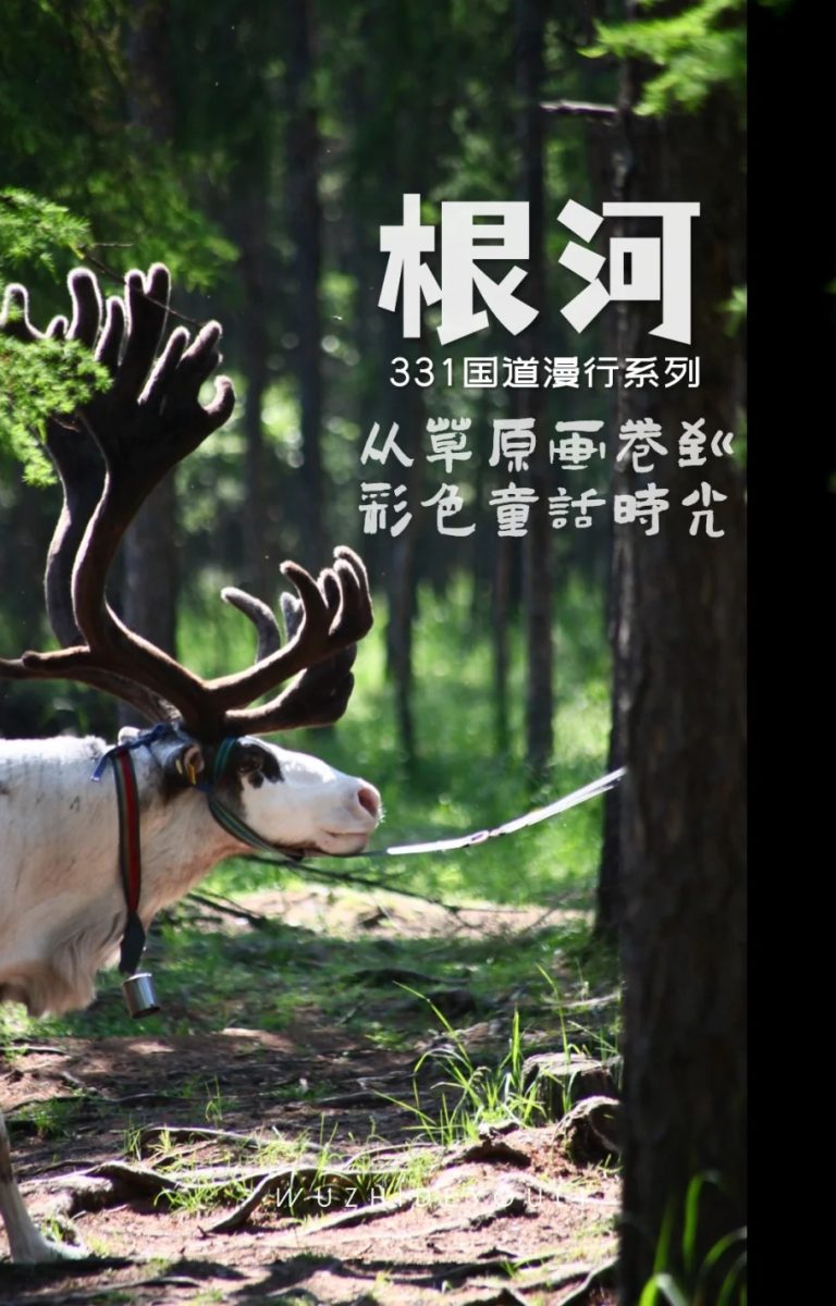 根河│驯鹿踏碎晨雾，鼓声撞响林海